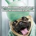 Adam Silverstone - Facebook