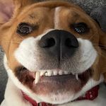 Adam simcox - @adam_simcox_ - Instagram