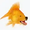 siemensadam14 - @adam_siemens - TikTok