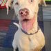 Adam Simer - Facebook