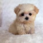 Adam simth - @simthadam3 - Instagram
