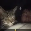 Adam simpson - @adam.simpson - TikTok