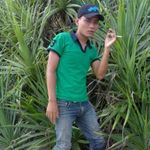 singo damang - @aji_tusniadi - Instagram
