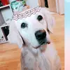 adamsipek73 - @adulka_sipek - TikTok