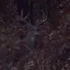 sissonadam - @sissonadam - TikTok
