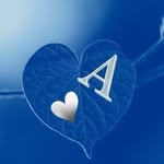 Adam Soliman - @adam.soliman.37625 - Instagram