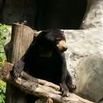 Adam Sova - @sova428 - Instagram