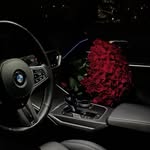 Adam sova - @adam.sovaka - Instagram