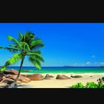 Adam Spader - @adam_spader - Instagram