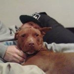 Adam Spathis - @adamspathis - Instagram