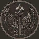 Adam spector - @adam_spector1239 - Instagram