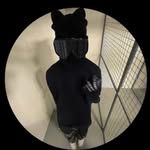 Adam Springfield - @adam.springfield10 - Instagram