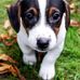 Adam Springston - Facebook