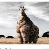 Adam Sroka - @adam.sroka09 - TikTok