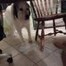 Adam Stelman - Facebook