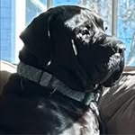 Adam Myles Standish - @standish7630 - Instagram