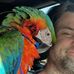 Adam Stauffer - Facebook