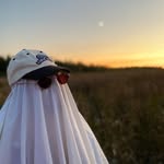 Adam Starkey - @damn_starkey - Instagram