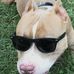 Adam Starnes - Facebook