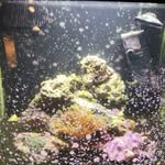 Adam Stash - @stashadam - Instagram