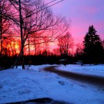 Adam Stiles - @stilesformiles537 - Instagram
