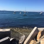 Adam360 - @adamstoller2018 - Instagram