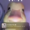 Adam Strader - @adam_strader - TikTok