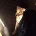 Adam Strunk - Facebook