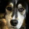 Adam Studer - @adam.studer0 - TikTok