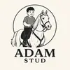 Adam Stud - @adams.tud - TikTok