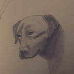 adam - @adam_draws_stuff - Instagram