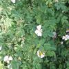 Adam Suchy - @adam.suchy5 - TikTok
