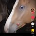 Adam Suchy - Facebook