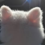 ADAMSUDA_ - @adamsuda_ - Instagram
