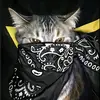 رستو` - @adamsudahmdewasa - TikTok