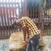 Adam Sumat - Facebook