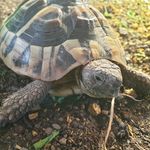 Adam Summerfield - @arcaniteslight - Instagram