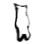 Adam Sutherland - @adam_is_phlynx - Instagram