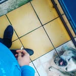 Ádám Sütő - @suto.adam.780 - Instagram