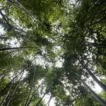 Adam Suto - @suph0to - Instagram