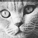 Adam Sutor - @sutor.adam - Instagram