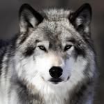 Adam Suveran - @adam_suveran - Instagram