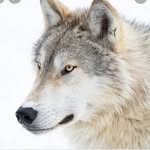 Adam Svenson - @adamsvensonhmd - Instagram