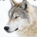 Adam Svenson - Facebook