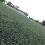 Adam Swallow - @alsefc69 - Instagram