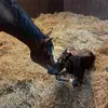 Adam Świder - @adam.wider46 - TikTok