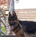 Adam Szar - Facebook