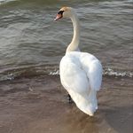 Adam Szargiej - @adamszargiej - Instagram