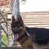 adamszar - @adamszar - TikTok