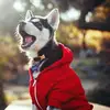 Adam Szewczyk  - @tygrys0508 - TikTok